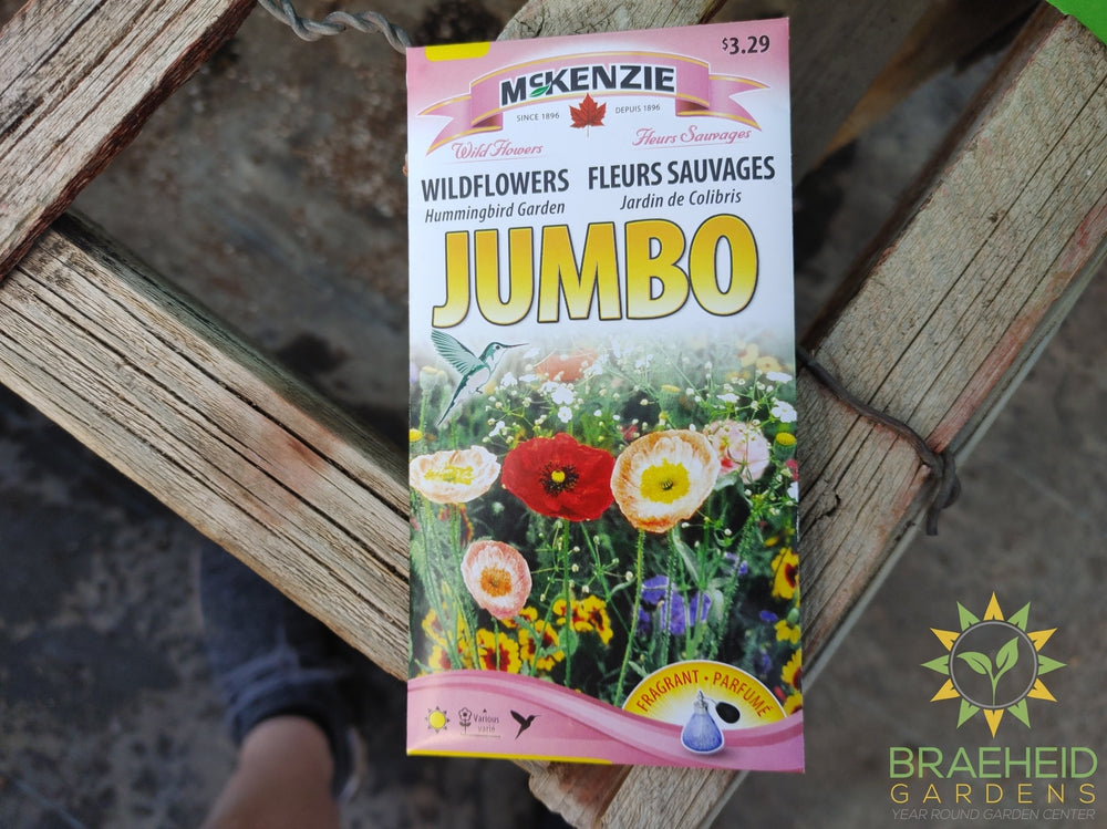 Wildflowers Hummingbird Garden Jumbo Mckenzie Seed