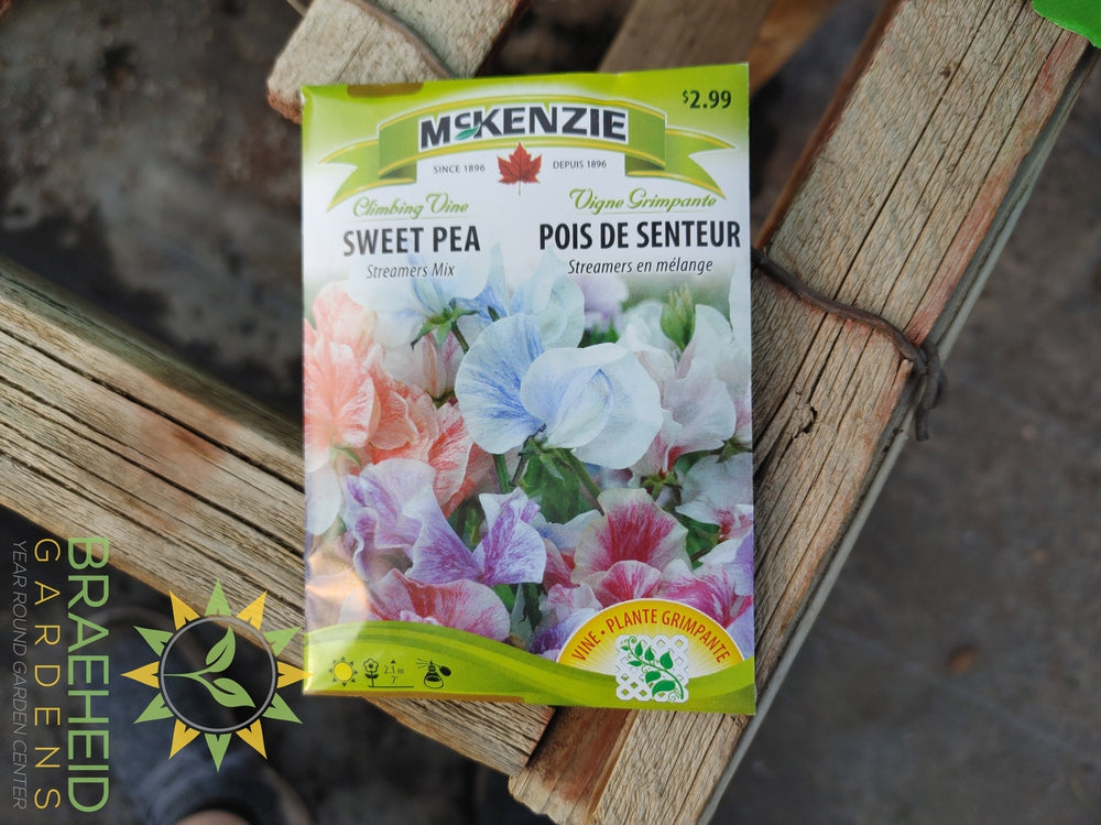 Sweet Pea Streamers Mix Mckenzie Seed