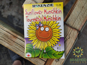 Sunflower Munchkin Mckenzie Seed