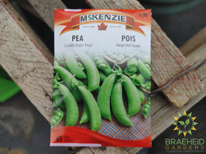 Pea Cascadia (sugar snap) McKenzie Seed