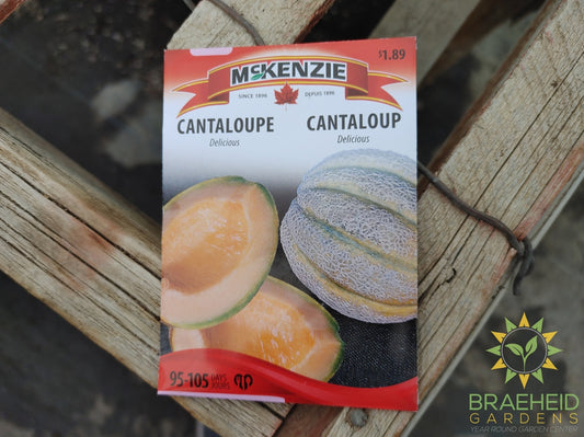 Cantaloupe Delicious McKenzie Seed