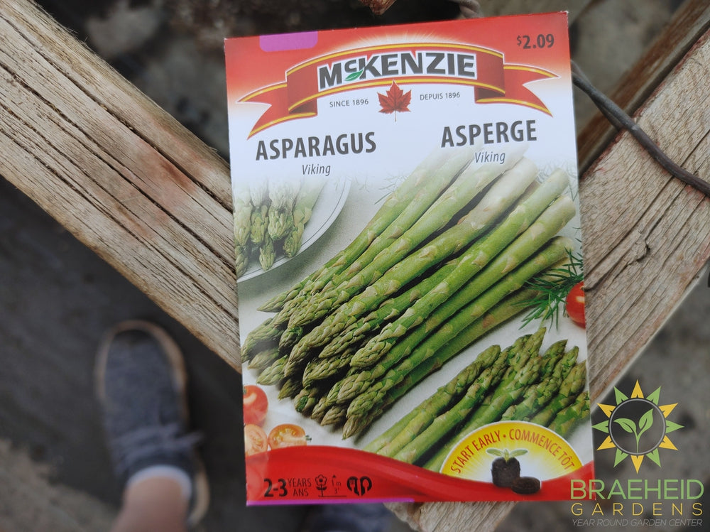 Asparagus Viking McKenzie Seed