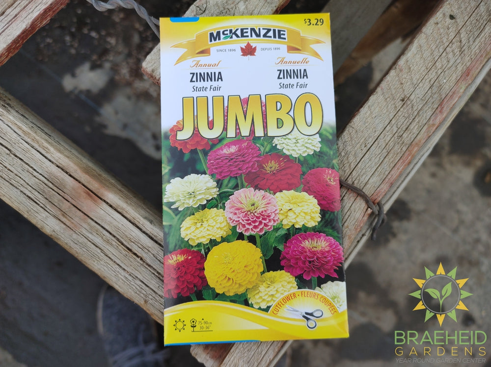 Zinnia State fair JUMBO Mckenzie Seed