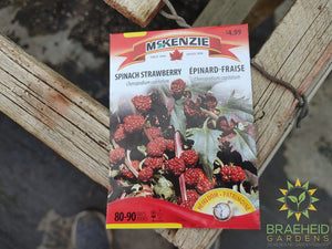 Spinach Strawberry Mckenzie Seed
