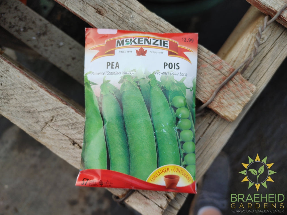 Provence (container variety) Pea Mckenzie Seed