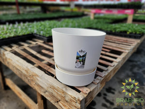 Elho Greenville Round Planter
