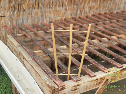 Bamboo Trellis - NO SHIP