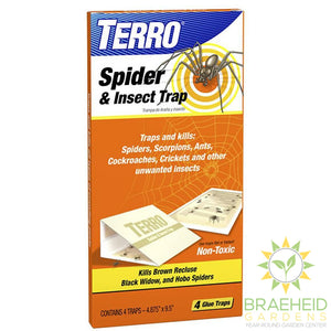 Terro Spider & Insect Trap