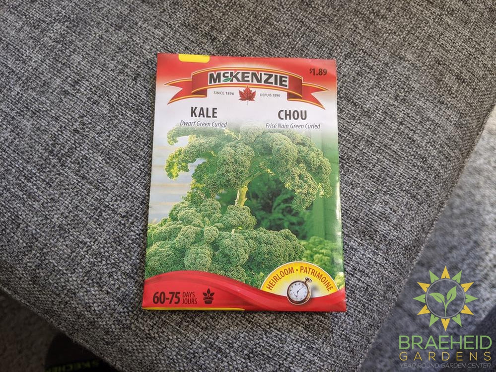 Dwarf Green Curled Kale McKenzie Seed
