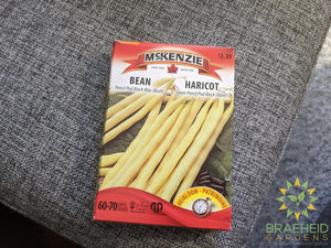 Pencil Pod Black Wax (Bush) Bean McKenzie Seed