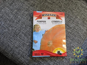 Dill's Atlantic Giant PVP Pumpkin McKenzie Seed