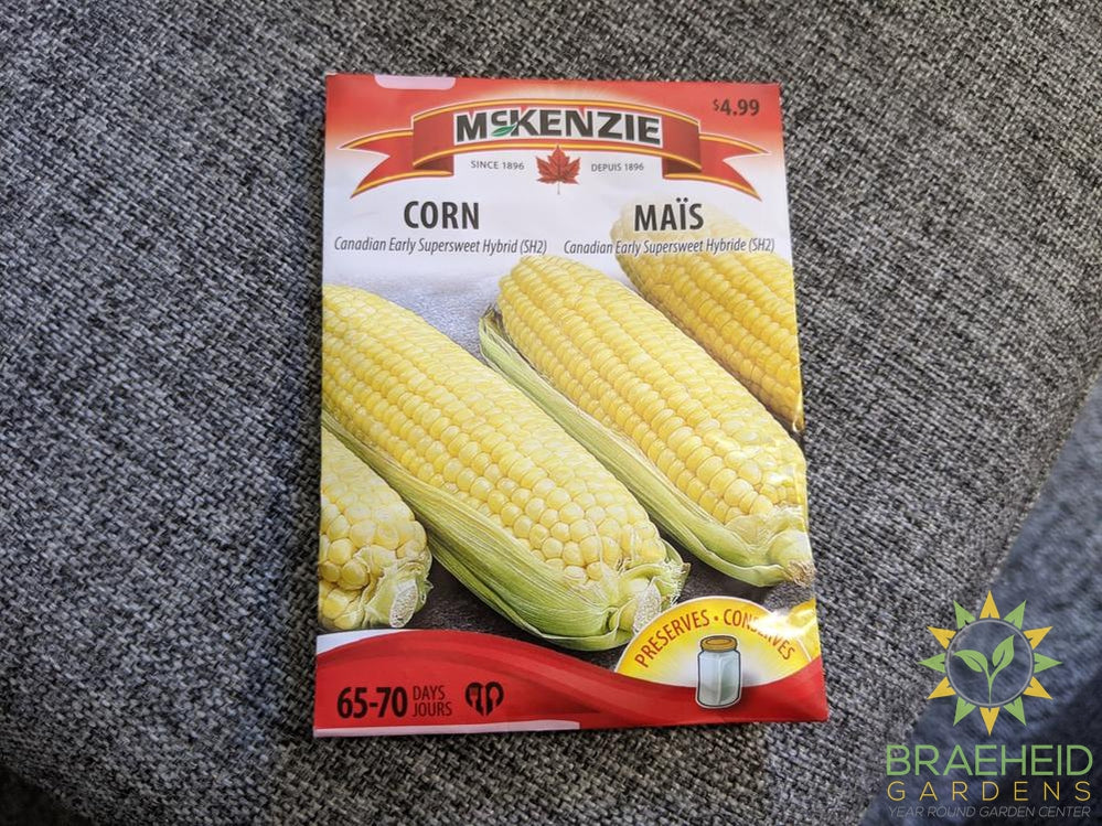 Canadian Early Supersweet Hybrid (SH2) corn McKenzie Seed