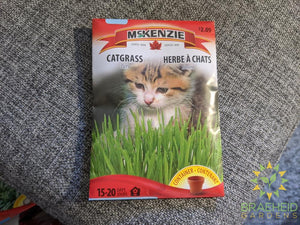 Oats Catgrass McKenzie Seed