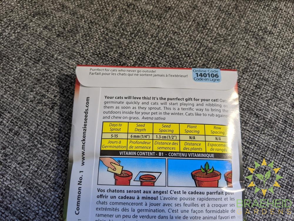Oats Catgrass McKenzie Seed