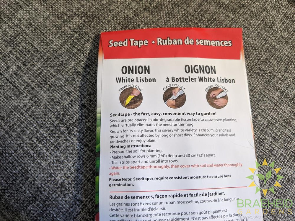 White Lisbon Onion McKenzie Seed
