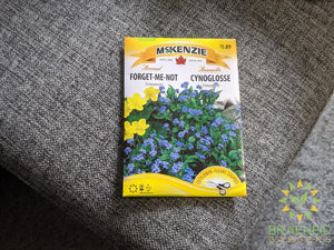 Firmament Forget-me-not McKenzie Seed