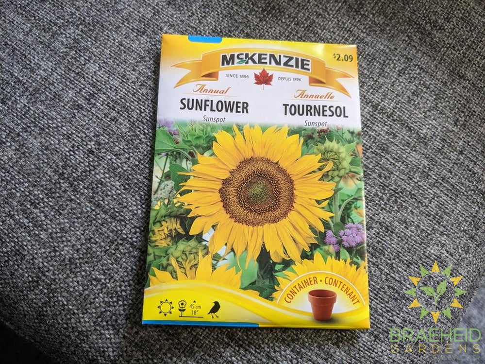 Sunspot Sunflower McKenzie Seed