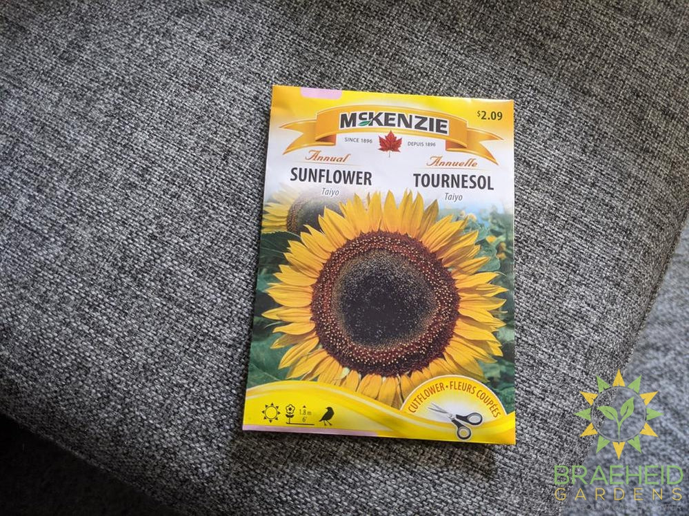 Taiyo Sunflower McKenzie Seed