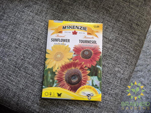 Autumn Beauty Sunflower McKenzie Seed
