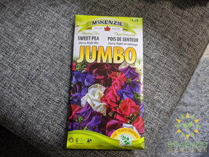 JUMBO Starry Night Mix Sweet Pea McKenzie Seed