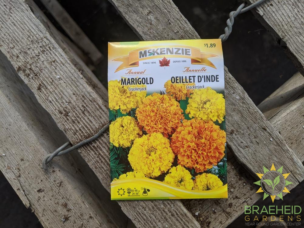 Marigold Crackerjack McKenzie Seed
