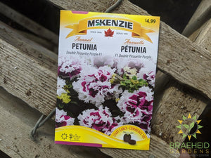 Petunia Double Pirouette purple McKenzie Seed