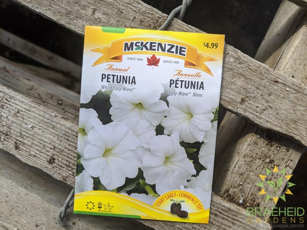Petunia White Easy Wave McKenzie Seed