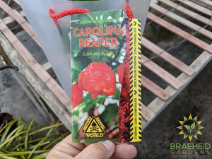 Carolina Reaper - NO SHIP -