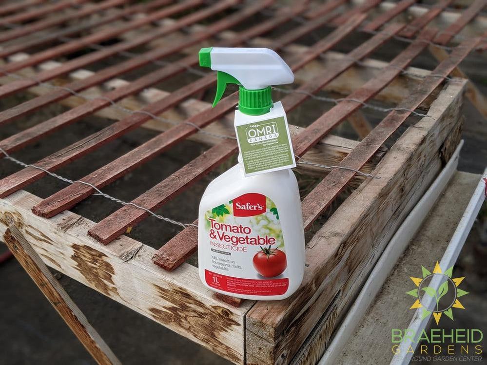 Safer's Tomato & Vegetable Insecticide RTU