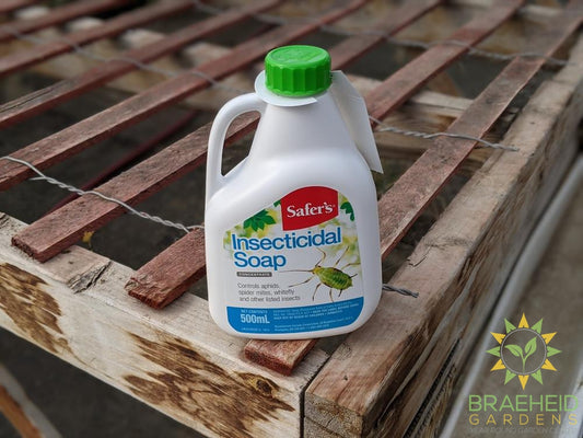 Safer's Insecticidal Soap Concentrate