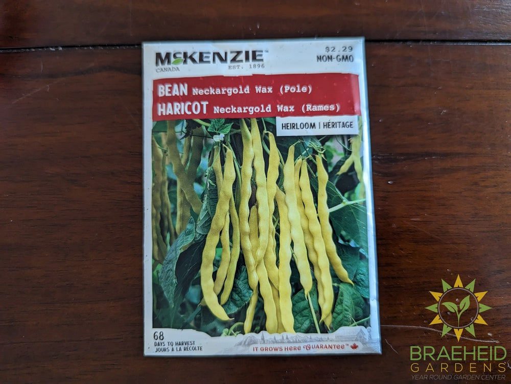 Neckargold Wax (Pole) Bean McKenzie Seed