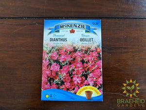 Dianthus Maiden Pink McKenzie Seed