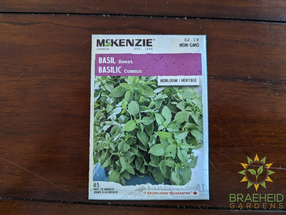 Sweet Basil McKenzie Seed