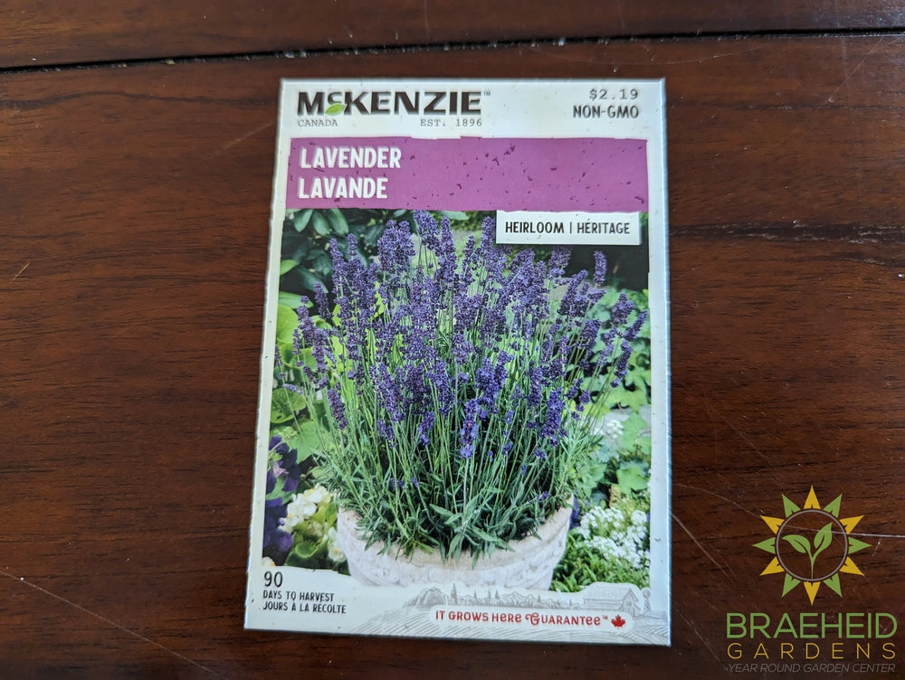 Lavender McKenzie Seed