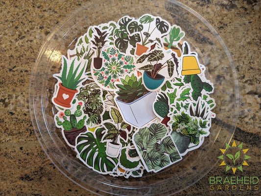 Plant Stickers - Buy 4 Get 1 Free