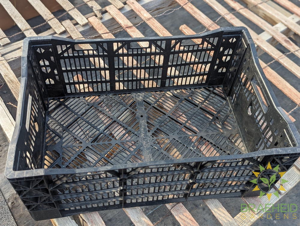 Sturdy Black Crate - No Ship -