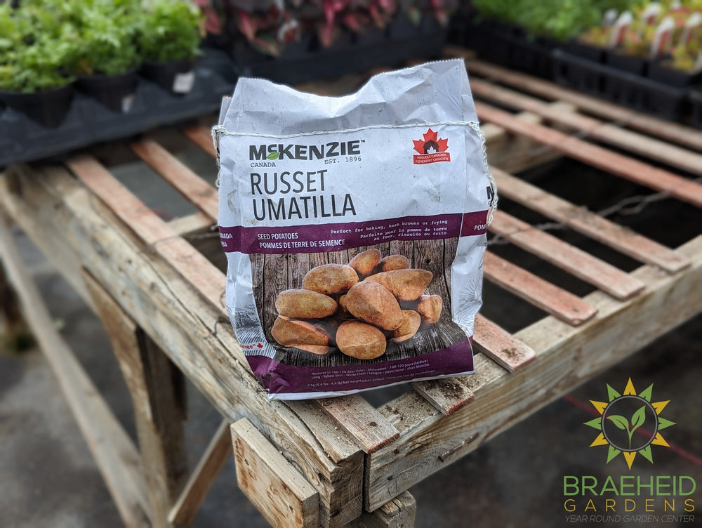 Sangre McKenzie Potatoes