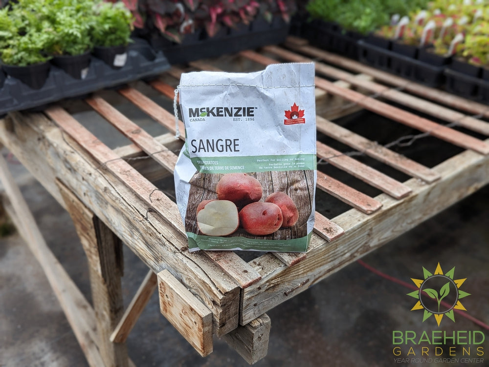 Sangre McKenzie Potatoes