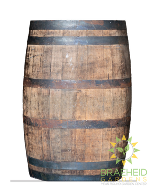 Whiskey Oak Barrels - NO SHIP -