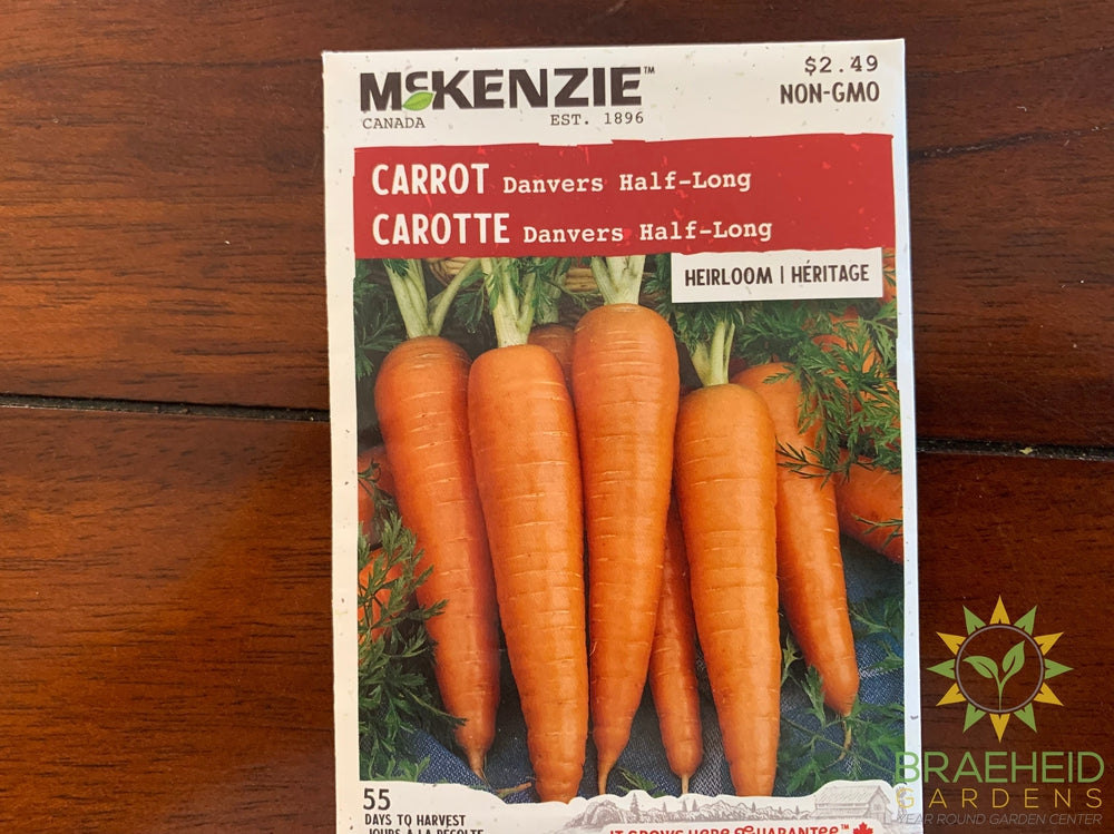 Carrot Danvers Half-Long McKenzie Seed