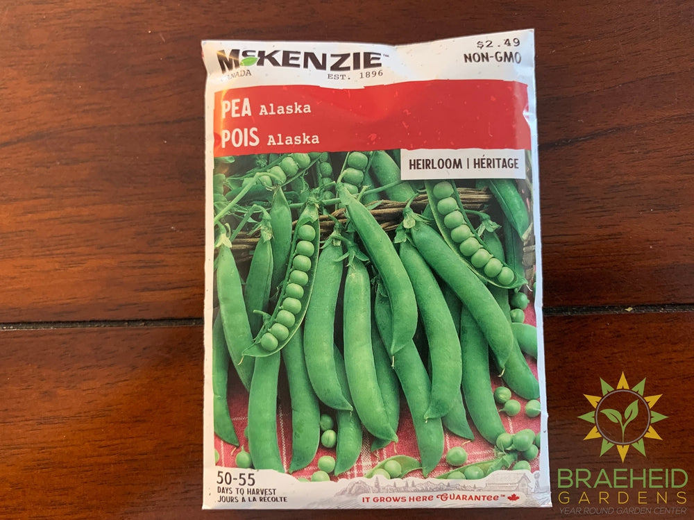 Alaska Pea McKenzie Seed