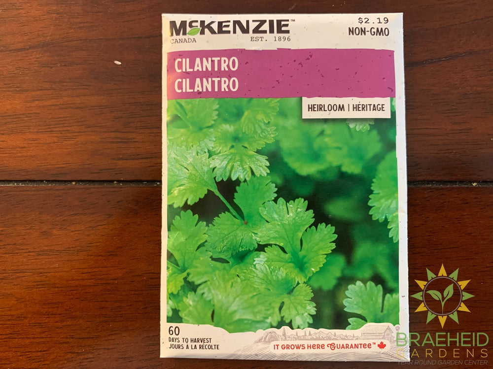 Cilantro McKenzie Seed