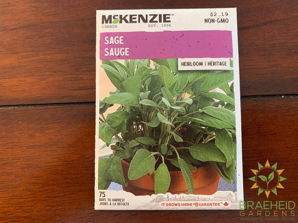 Sage Herb McKenzie Seed