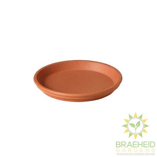 Terra Cotta Clay Saucer