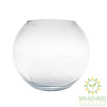 Empty Glass bubble bowl terrarium